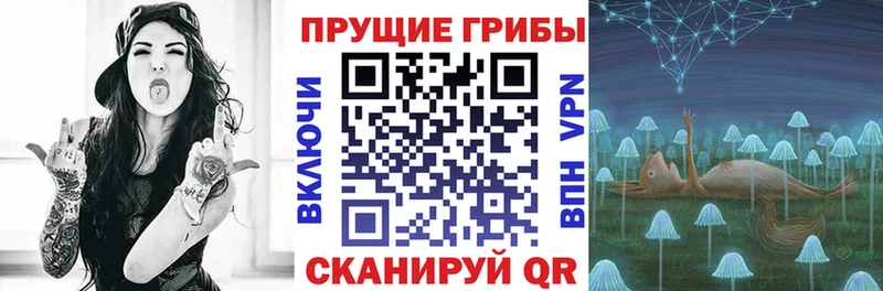 дарнет шоп  ссылка на мегу рабочий сайт  Псилоцибиновые грибы прущие грибы  Динская 